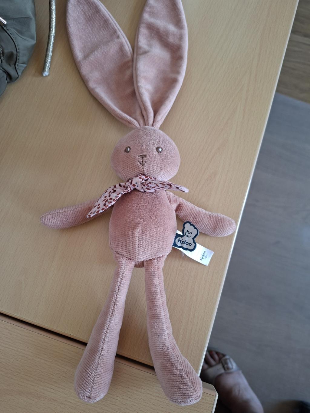 Doudou perdu à Nancray